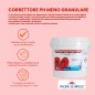 CORRETTORE PH - MENO GRANULARE PER PISCINE 8 Kg LAPI Piscina semplice CORRETTORE PH - MENO GRANULARE PER PISCINE 8 Kg LAPI Piscina semplice
