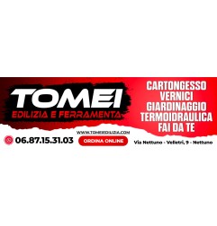 Saldatrice elettrica inverter professionale POWERPLUS POWX481 A elettrodo 160 A