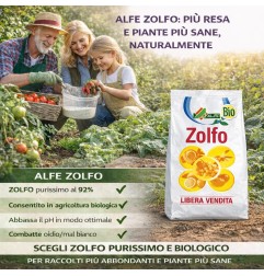 Zolfo In Polvere 1 Kg Per Orto 92% Consentito In Agricoltura Biologica AL.FE