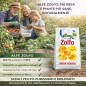 Zolfo In Polvere 1 Kg Per Orto 92% Consentito In Agricoltura Biologica AL.FE Zolfo In Polvere 1 Kg Per Orto 92% Consentito In Agricoltura Biologica AL.FE