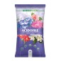 Greenview Terriccio specifico per acidofile 45lt Con aggiunta di lapillo e npk